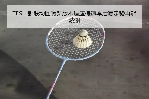 TES中野联动回暖新版本适应提速季后赛走势再起波澜